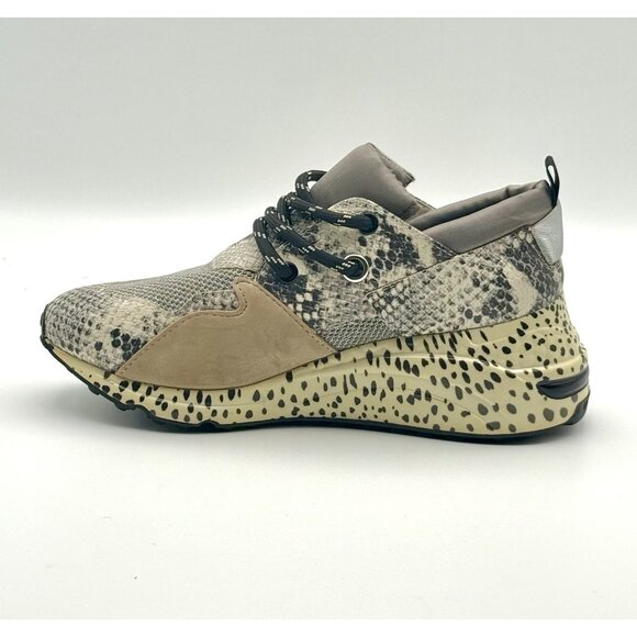 Steve Madden Cliff Hidden Heel Sneakers Shoes Women's Size 7.5 Animal Print - Picture 5 of 11